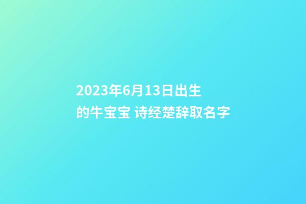 2023年6月13日出生的牛宝宝 诗经楚辞取名字